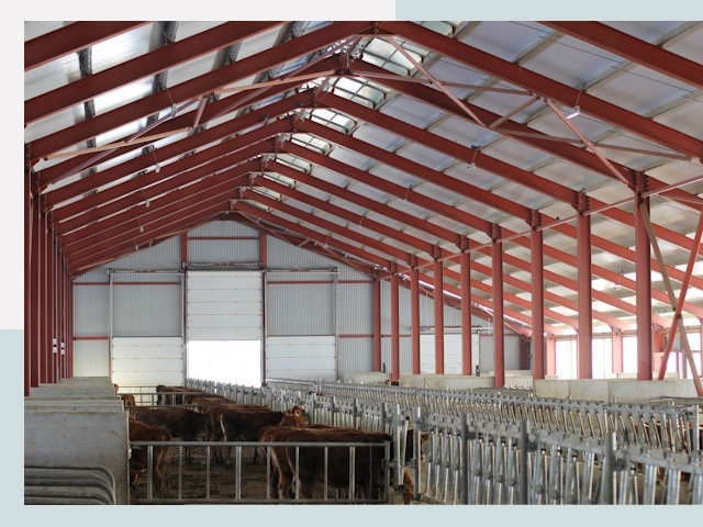 Строительство коровников в Махачкале