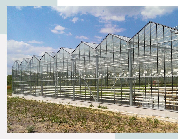 Строительство теплиц в Махачкала от 621 руб. за м²